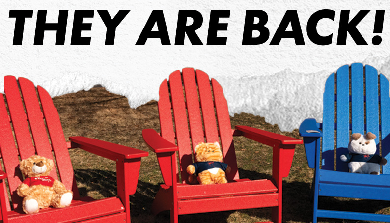 3 Plushies that are sitting in chairs.