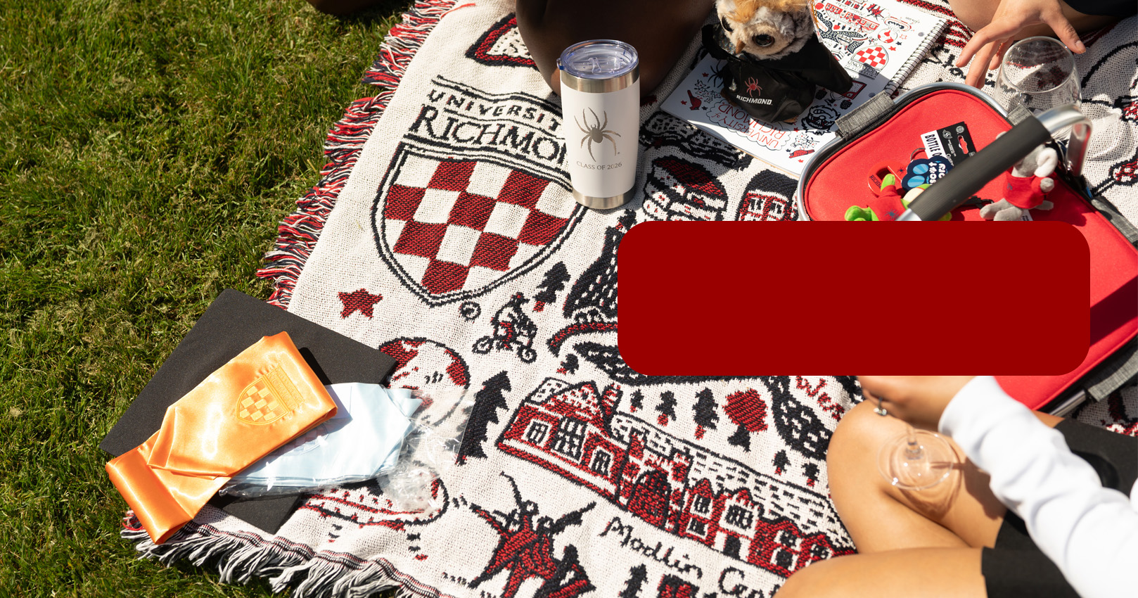 Image of a picnic blanket laid down on grass with Richmond spiders memorabilia and regalia items scattered across it.