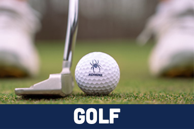 Golf ball about to be hit by a putter