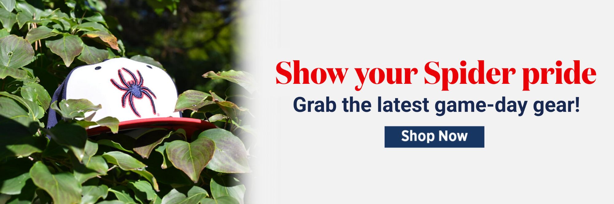 University of Richmond spider hat. Show your spider pride slideshow image