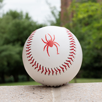 University of Richmond Spiders Baseball with Mascot