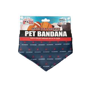 Image of All Star Dogs Pet Mascot Bandana