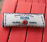 All Star Dogs Squeaky Diploma Toy