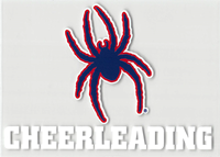 Mascot Cheerleading Outside Decal