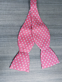 Vineyard Vines Raspberry and Blue Bowtie