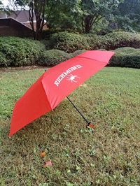 Storm Duds Clip on Umbrella