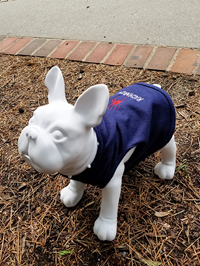 All Star Pet Hoodie with Mascot Richmond Wool
