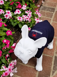 All Star Pet Tee with Mascot Richmond