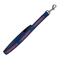 Spirit Products Dog Leash