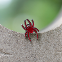 Jardine Red Mascot Lapel Pin