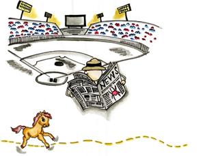 Limited Edition Print of Stadium with Reporter 16x20