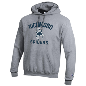 Champion Embroidered Eco Powerblend Hoodie -  grey