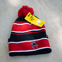 47 Brand Youth Winter Beanie with Mascot and Pom
