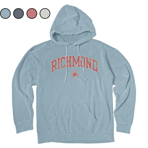 Blue 84 Vintage Garment Dyed Hoodie - main view