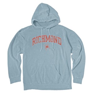 Blue 84 Vintage Garment Dyed Hoodie -  denim