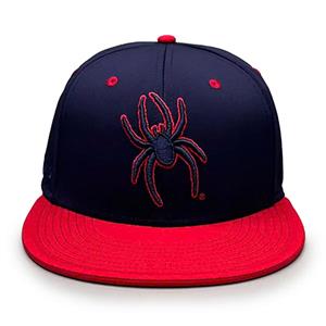 The Game Mascot Richmond on Side Flatbill Stretch Fit Cap - main view