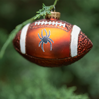 R F S J Football Ornament