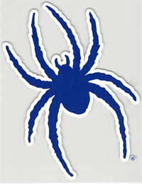 Mini Spider Mascot – 3.5" Magnet - main view