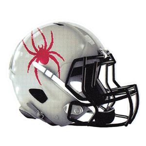 Football Helmet Outside Decal