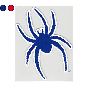 13 Inch Spiders Decal - main view