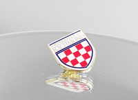 University of Richmond Shield Pin