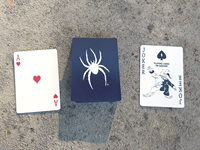 Spirit Product Playing Cards with Mascot in Navy