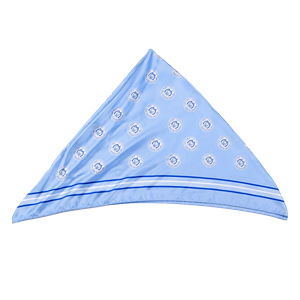 Rivetz of Boston Westhampton Silk Scarf - main view