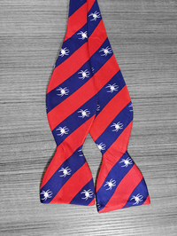 Mascot with Stripes Bow Tie