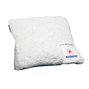 Logo Sherpa Pillow - main view